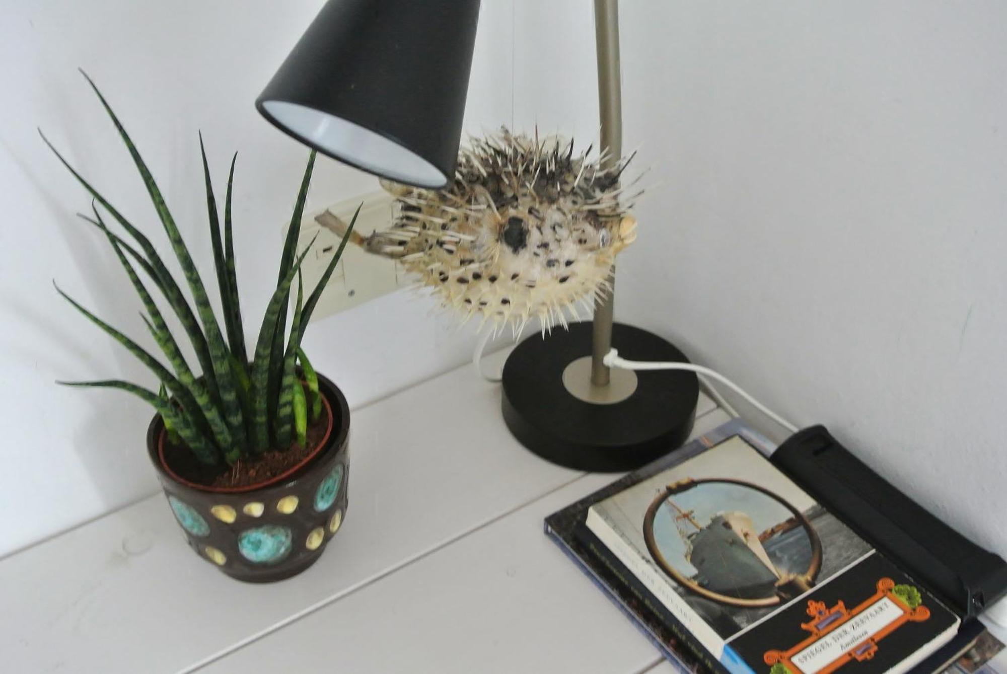 Hotel B&B Altijd Wad เวสต์-เทอร์เชลลิง ห้อง รูปภาพ